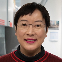 Prof. Carol Sze Ki Lin